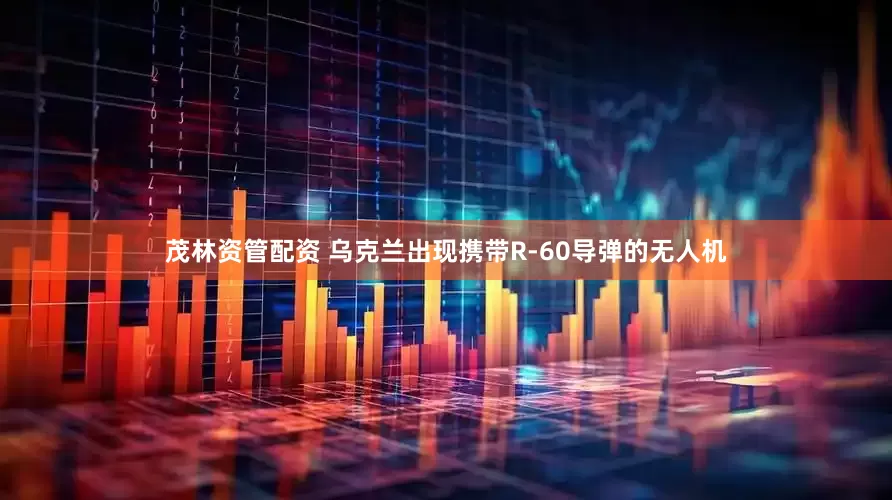 茂林资管配资 乌克兰出现携带R-60导弹的无人机
